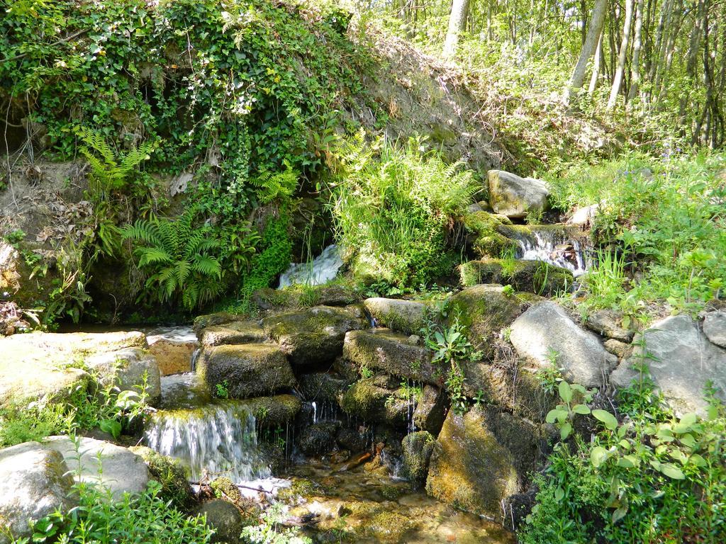Quinta Lamosa Agroturismo Аркуш-ди-Валдевеш Экстерьер фото
